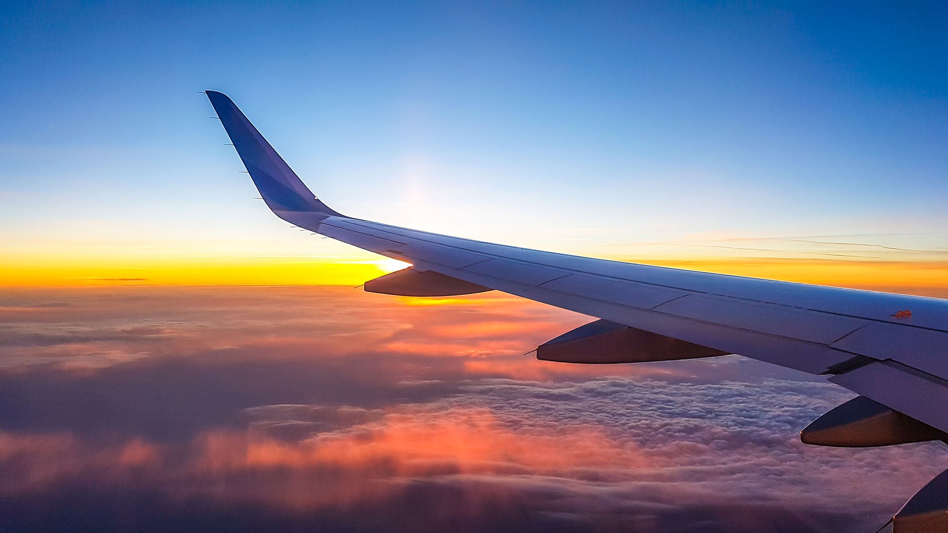 Aeroplane wing in sky with sunset.