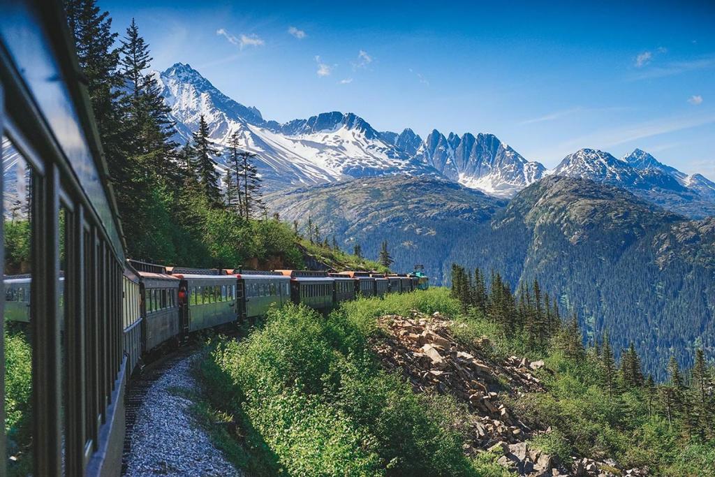 Scenic rail carriages through alpine region